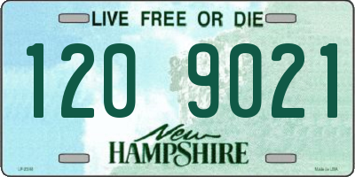 NH license plate 1209021