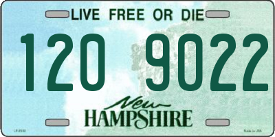 NH license plate 1209022