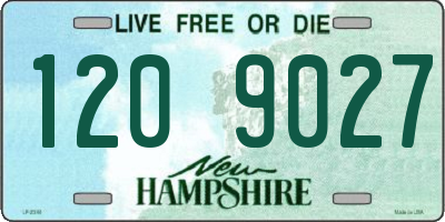 NH license plate 1209027