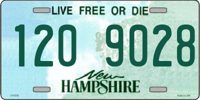 NH license plate 1209028