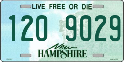 NH license plate 1209029