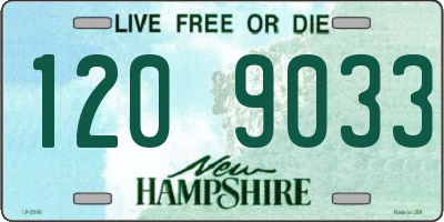 NH license plate 1209033