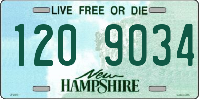 NH license plate 1209034