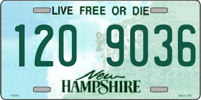 NH license plate 1209036