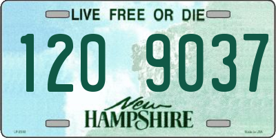 NH license plate 1209037