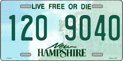 NH license plate 1209040