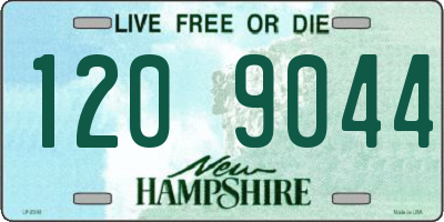 NH license plate 1209044
