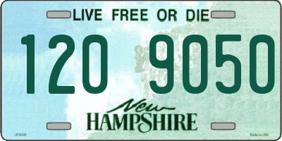 NH license plate 1209050