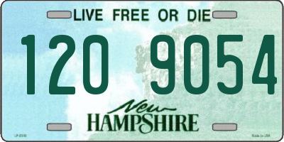 NH license plate 1209054