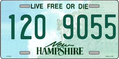 NH license plate 1209055