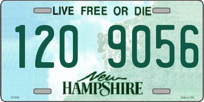 NH license plate 1209056