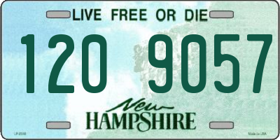 NH license plate 1209057