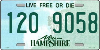 NH license plate 1209058