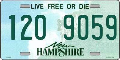 NH license plate 1209059