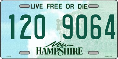 NH license plate 1209064