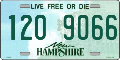 NH license plate 1209066
