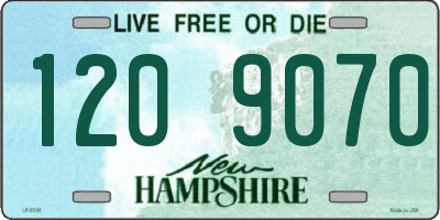 NH license plate 1209070