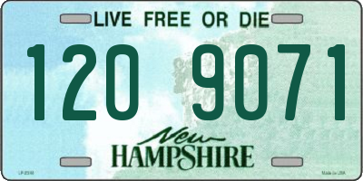 NH license plate 1209071