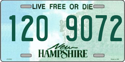 NH license plate 1209072