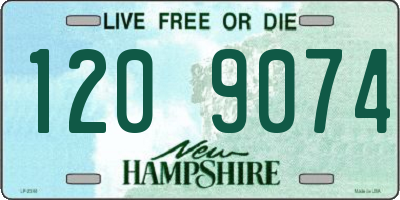 NH license plate 1209074