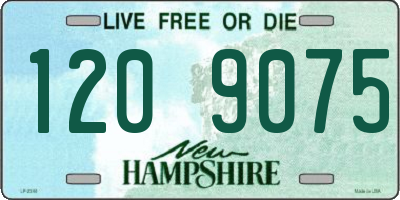 NH license plate 1209075