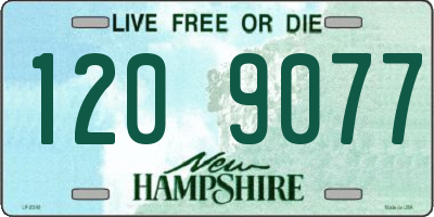 NH license plate 1209077