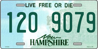 NH license plate 1209079