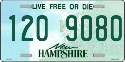 NH license plate 1209080