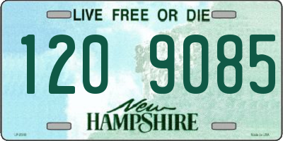 NH license plate 1209085