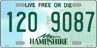NH license plate 1209087