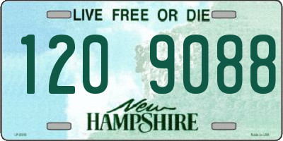 NH license plate 1209088