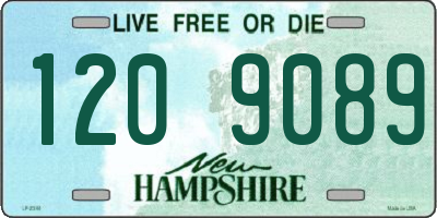 NH license plate 1209089