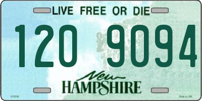 NH license plate 1209094