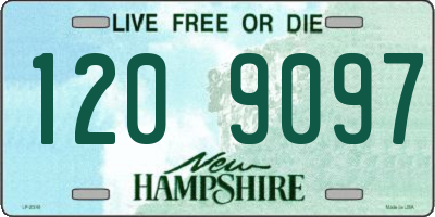 NH license plate 1209097