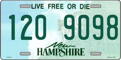 NH license plate 1209098