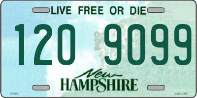 NH license plate 1209099