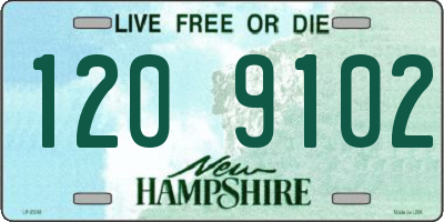 NH license plate 1209102