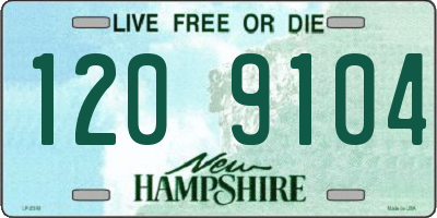 NH license plate 1209104