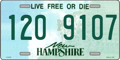 NH license plate 1209107
