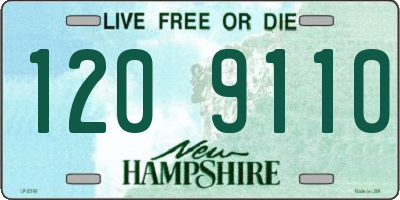 NH license plate 1209110