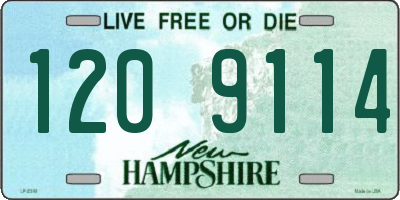 NH license plate 1209114