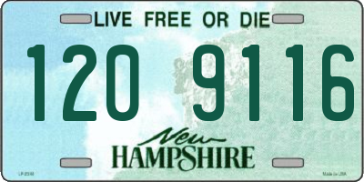 NH license plate 1209116