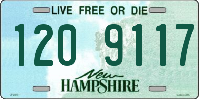 NH license plate 1209117