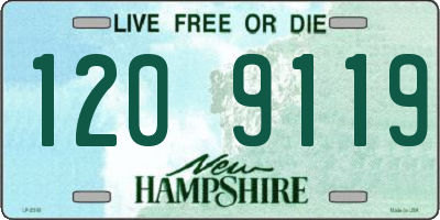 NH license plate 1209119