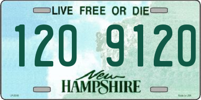 NH license plate 1209120