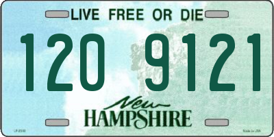 NH license plate 1209121