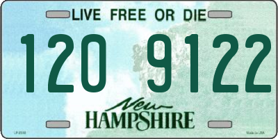 NH license plate 1209122