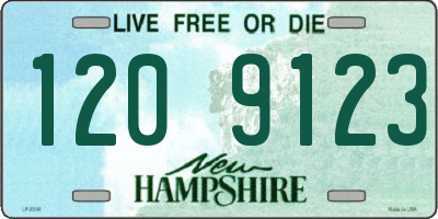 NH license plate 1209123