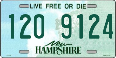 NH license plate 1209124