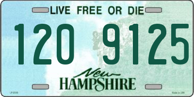 NH license plate 1209125